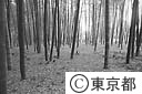 竹林公園