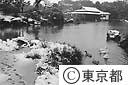 雪の清澄庭園