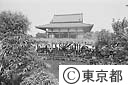 西新井大師と藤
