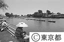 水元公園の釣仙郷