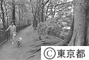 玉川上水沿いの遊歩道