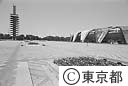 駒沢公園