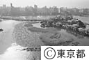 上野公園、不忍池