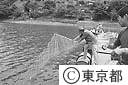 奥多摩湖の魚の生息調査