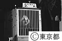 パンダ、ホアンホアン北京市より東京都へ
