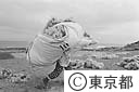 天草採取