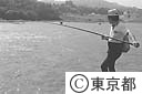 利根川のあゆつり