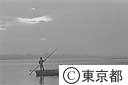 島村の渡し（利根川）