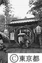 愛宕神社の茅の輪くぐり