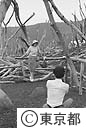 噴火でまる坊主になった樹木をバックに記念写真を撮る観光客