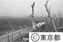 噴火後、荒れ果てた新澪池を見に来た観光客