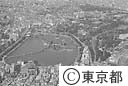上野不忍池（空撮）