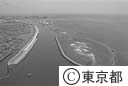 葛西人工渚（空撮）