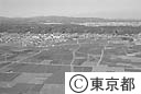 茶畑（空撮）