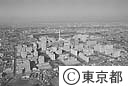 光が丘団地（空撮）
