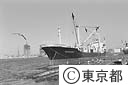 東京港で外国船で運ばれて来た木材をイカダに組む