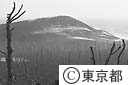 水蒸気爆発により火山れきと灰で無残な姿となった新澪池付近