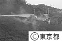 溶岩に寸断された道路（阿古）