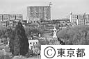 石仏のある街（石碑群とアパート群）