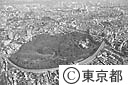 国立自然教育園（空撮）