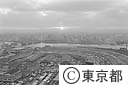 築地中央卸売市場の夜明け