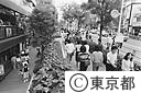 緑の多い渋谷公園通り