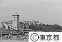 都立大
