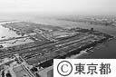 青海、有明地区
