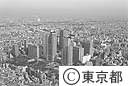 都庁舎