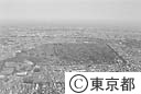 多磨霊園