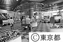 緑の相談所