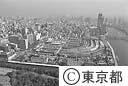 築地中央卸売市場