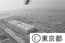 臨海部副都心・青海地区