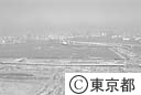 開発中の臨海部