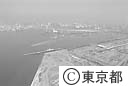 開発中の臨海部
