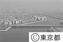 旧江戸川河口