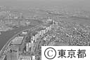 白鬚東地区（防災拠点）
