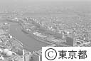 白鬚東地区（防災拠点）