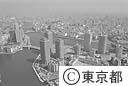 佃島付近