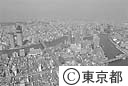 佃島付近