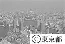 佃島付近