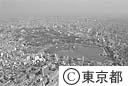 上野不忍池付近