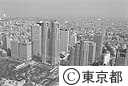 都庁舎