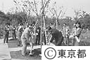 みんなでつくろう東京の森植樹祭