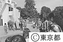 インド象歓迎式