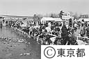 多摩川にサケ放流
