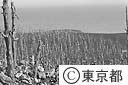 三宅島大噴火　爆発で飛ばされた岩