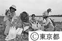 みどりの監視員の活動