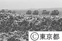 １３号地のごみ処理場