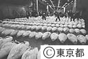 中央卸売市場のセリ